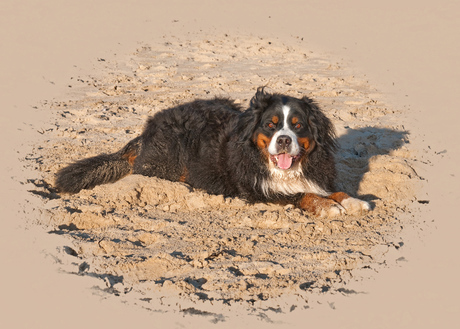 Amber op het strand