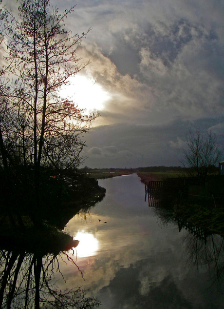 genieten van de natuur