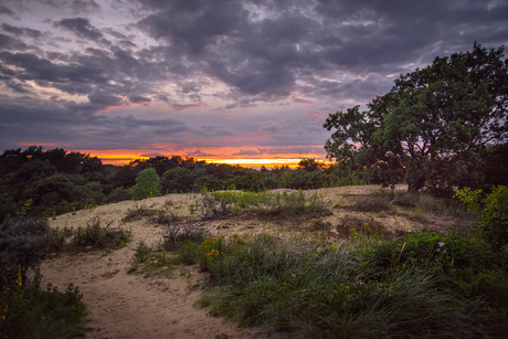 Meijendel Sunset