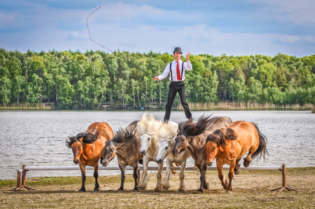 Pierre Fleury Highlands Show