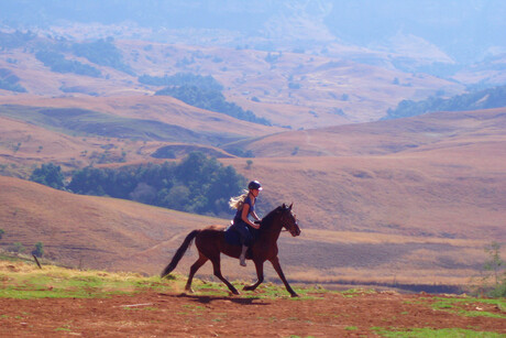 Te paard door Drakensbergen np