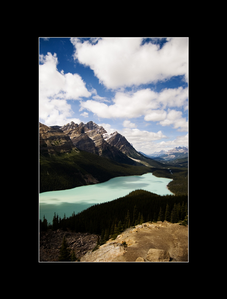 Peyto glacier