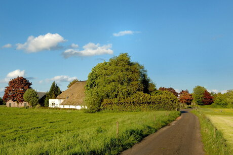 Boerderij