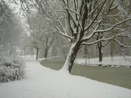 Winter in Heemskerk