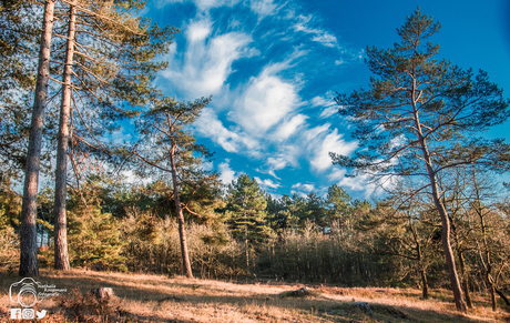 zonsondergang duinen van bergen
