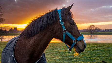 Zonsondergang