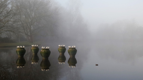 Wilhelminapark Meppel