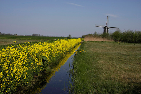 molen