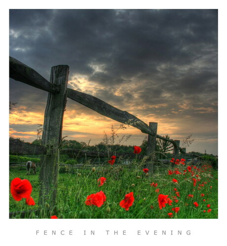 Fence in the Evening