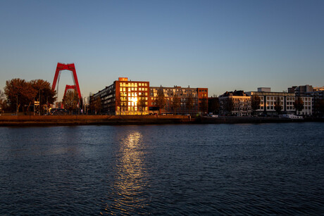 Rotterdam Morning Glow