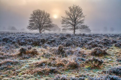 Vorst aan de grond in Twente