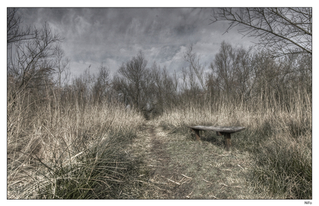 Bankje in de natuur