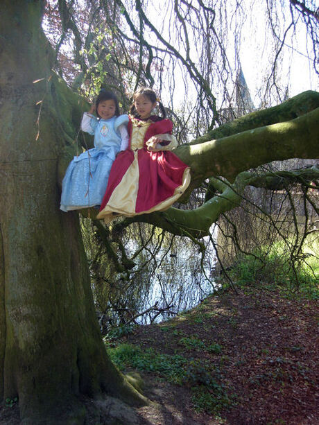 Prinsessen in een boom