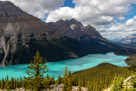 Peyto lake