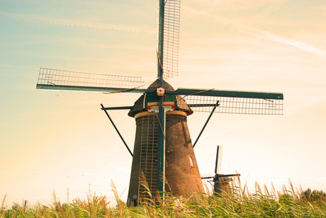 Molen in Kinderdijk