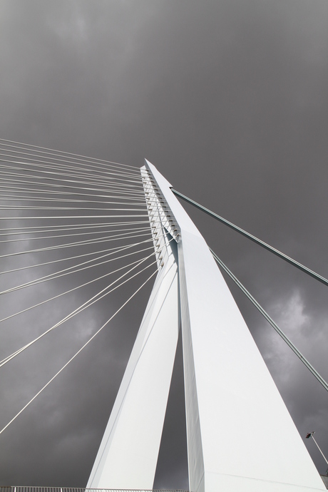 Erasmus brug Rotterdam