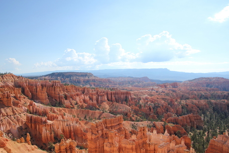 Bryce canyon