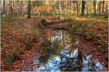 herfstkleuren