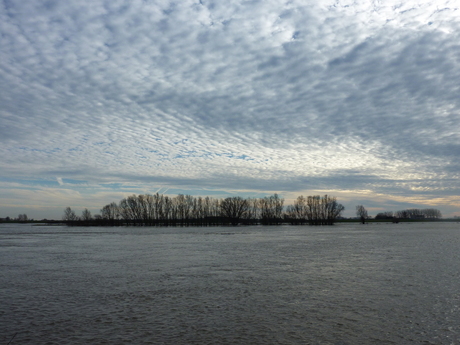 Uiterwaarden Nederrijn