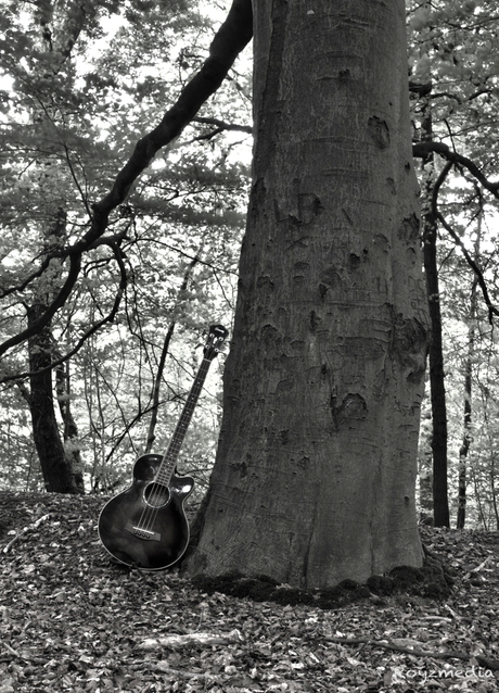 Black & white guitar in the forest.
