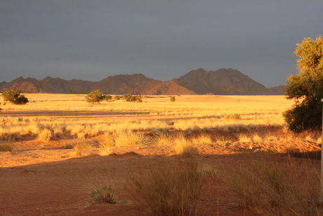 landschap in vuur en vlam...