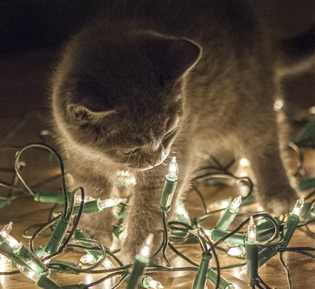 Het einde van de kerst kan ook leuk zijn.