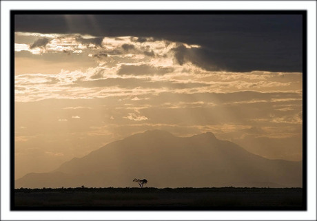 Sunset in Amboseli