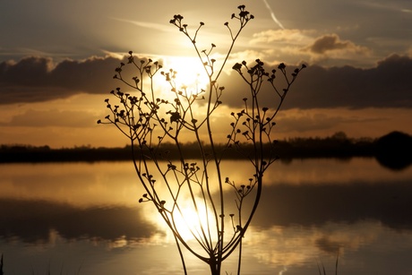 zonsondergang in Friesland