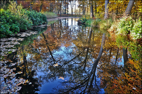 herfst-2012-03