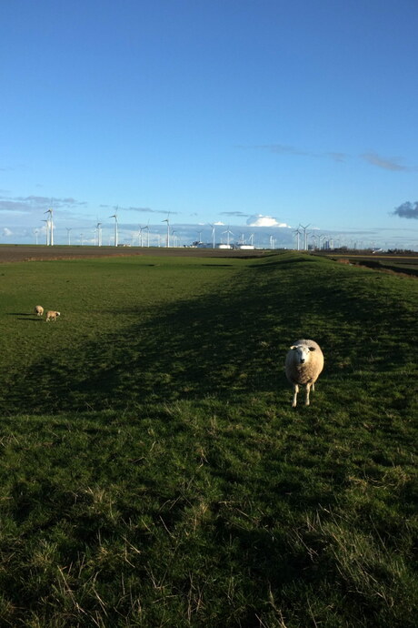 eemshaven