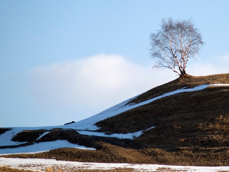 Ochtendzon in de winter