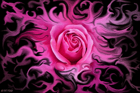 Funky rose