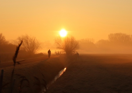 Foggy mornings