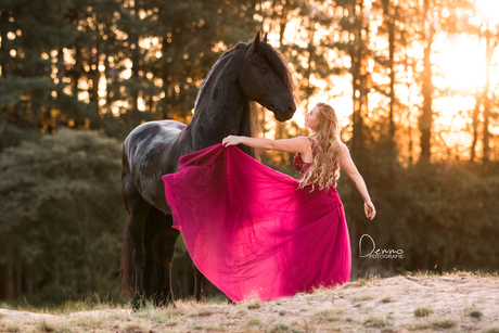 Dancing with the horse