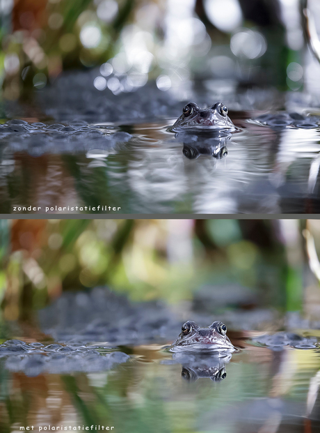 Met of zonder polaristiefilter