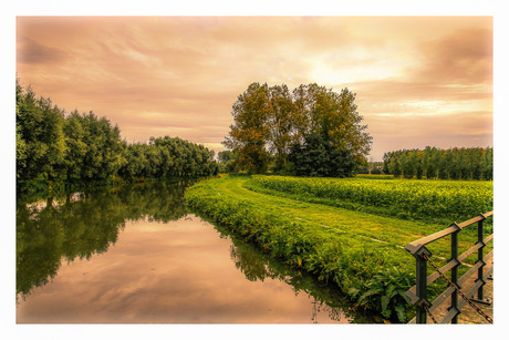 Dijle in Rotselaar