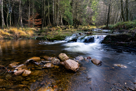 De mooie belgische ardennen