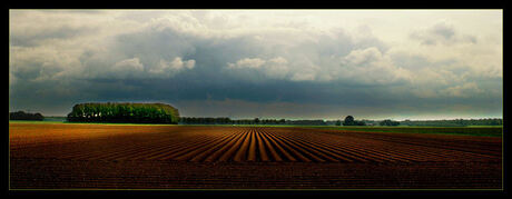 Biesbosch 1