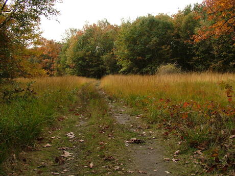 herfst in aantocht