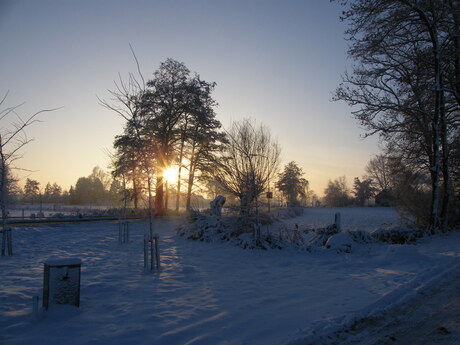 sneeuwlandschap