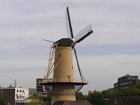 DE NIEUWST MOLEN DE KAMEEL