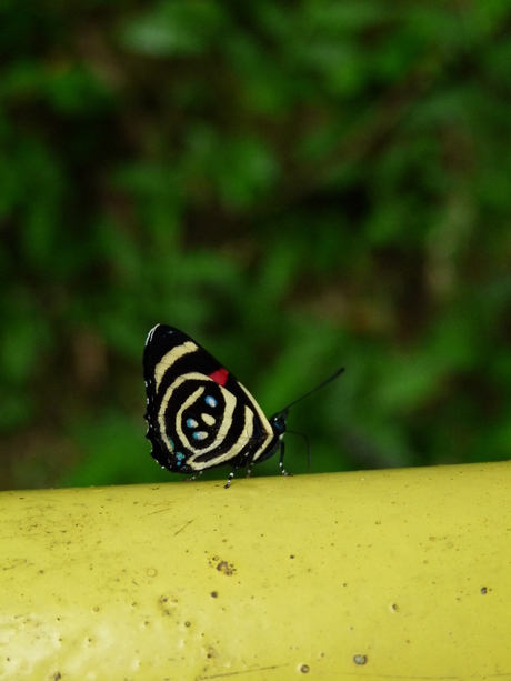 Foz do Iguassu