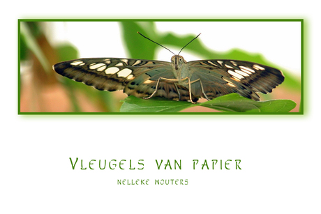 Vleugels van papier