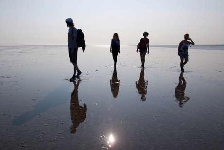 Hoog zomers wadlopen