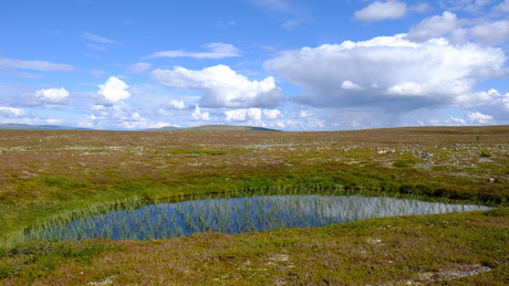 Landschap In de omgeving van Idre Fjäll