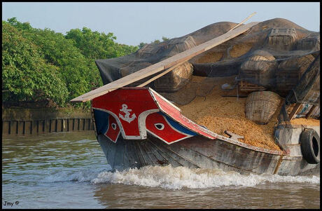 Mekong Delta III