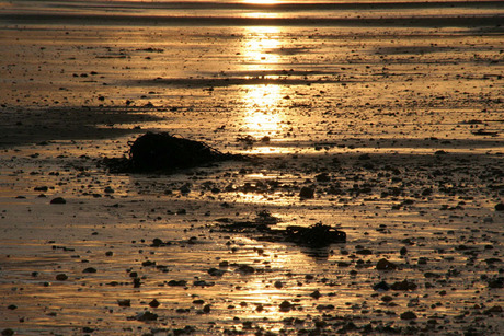 Beach bournemouth