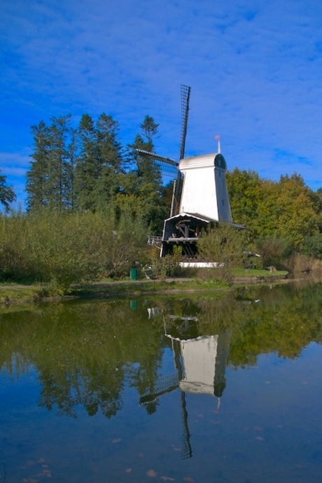 Molen