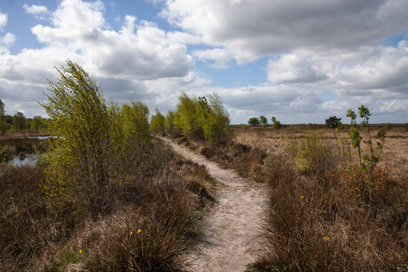 wind en wolken