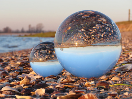 Glazenbollen op (rivier) strand